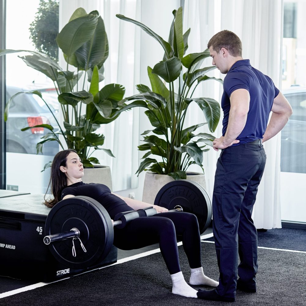 AKVMOVE Royal 2